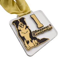 Медаль из акрила с пластиком 2-слойная