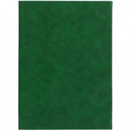 Ежедневник Flap на заказ, недатированный, зеленый