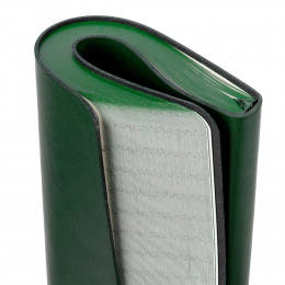 Ежедневник Neat Mini, недатированный, зеленый