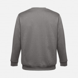 Свитшот унисекс Delta, серый