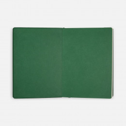 Ежедневник Shall, недатированный, зеленый