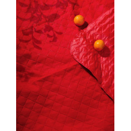 Плед для пикника Soft & Dry 2, красный