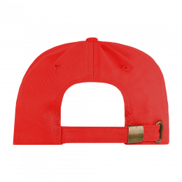 Бейсболка STAN 5 клиньев хлопок, 260, 112