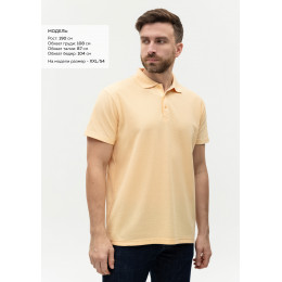 Рубашка поло мужская STAN хлопок/полиэстер 185, 04