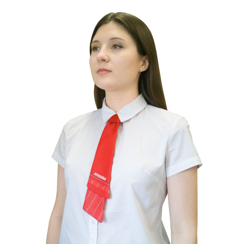 Галстук Француз  31х61